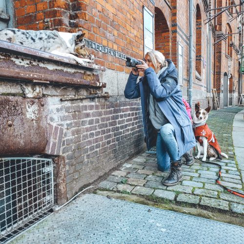 20211016_121315-1536x2048