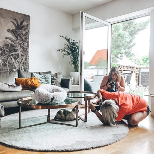 513A8A54-F311-416E-A109-1056698BCC42