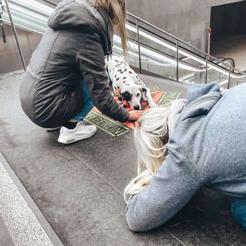 7e04a213-de8e-4ea2-945d-714bc1702f9d