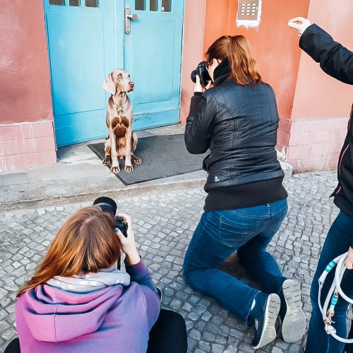 8d575f5f-68ea-4b8a-bedf-60811b7871b0