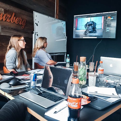 8f554d13-07a5-4148-9796-4521815b40c3